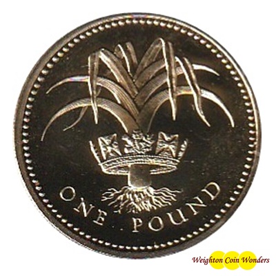 1985 £1 Coin - Welsh Leek